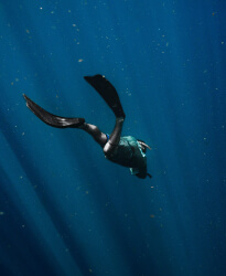 Diving